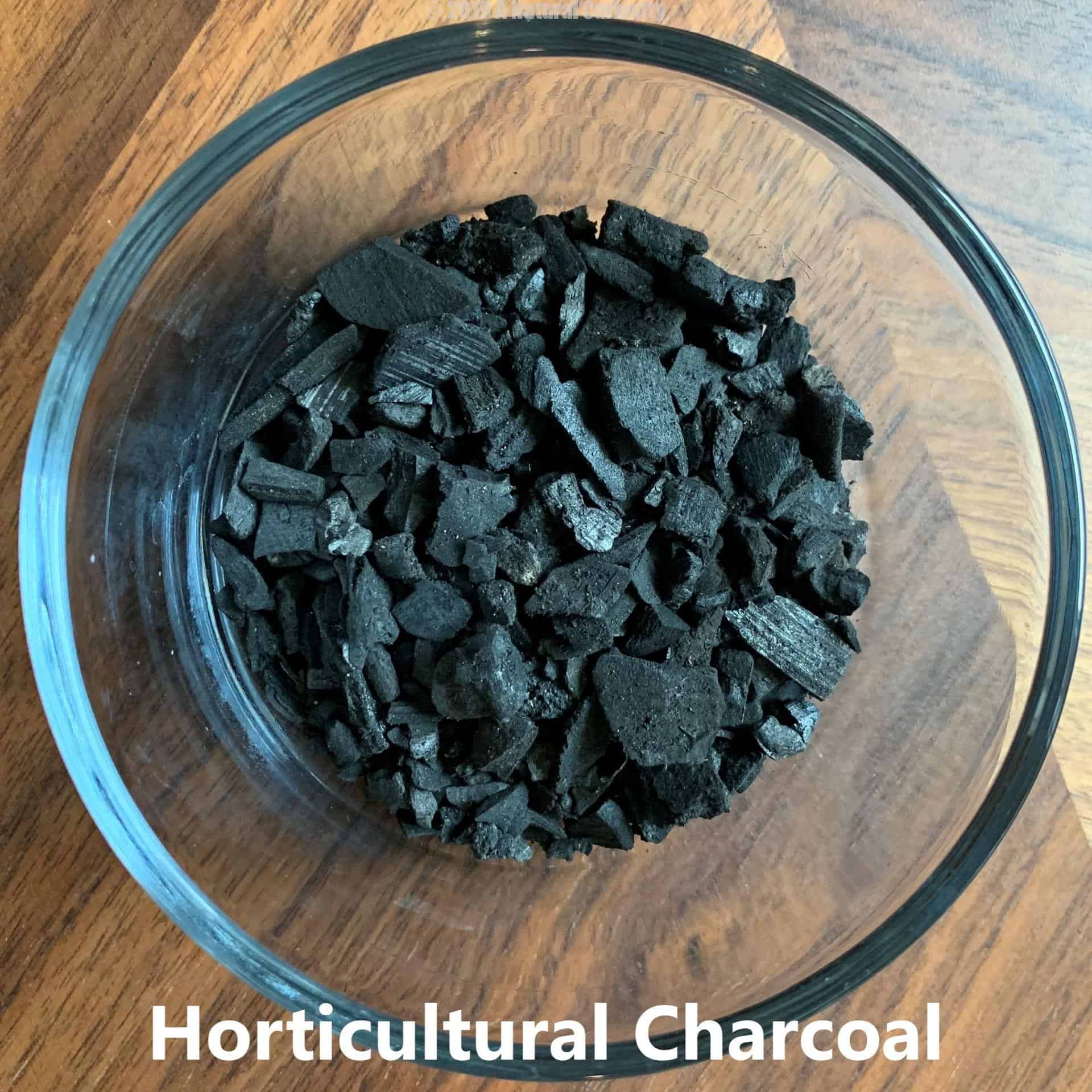 How to Choose the Right Potting Mix for Your New Houseplant! | A ...