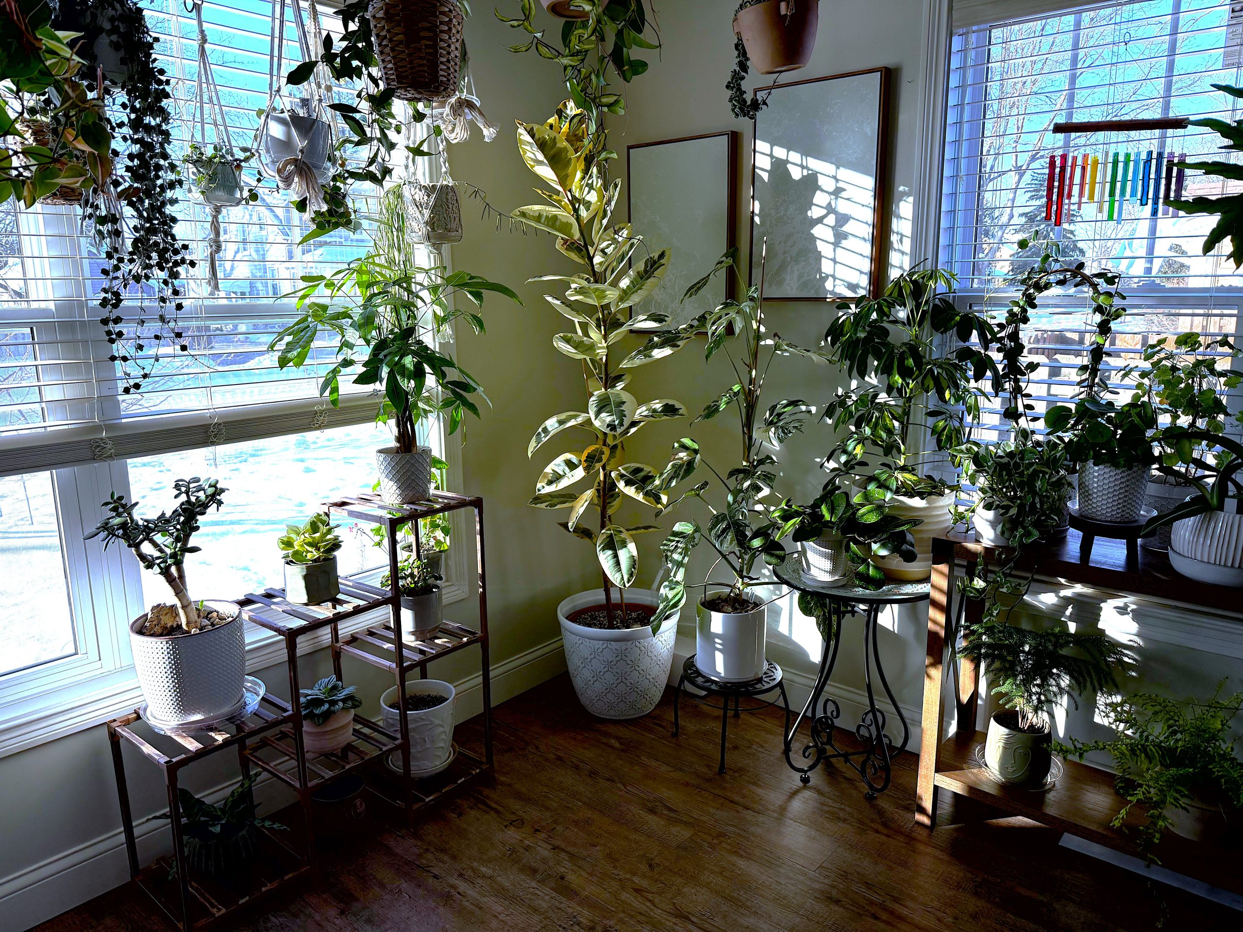 DiningRoom2 DiningRoom2